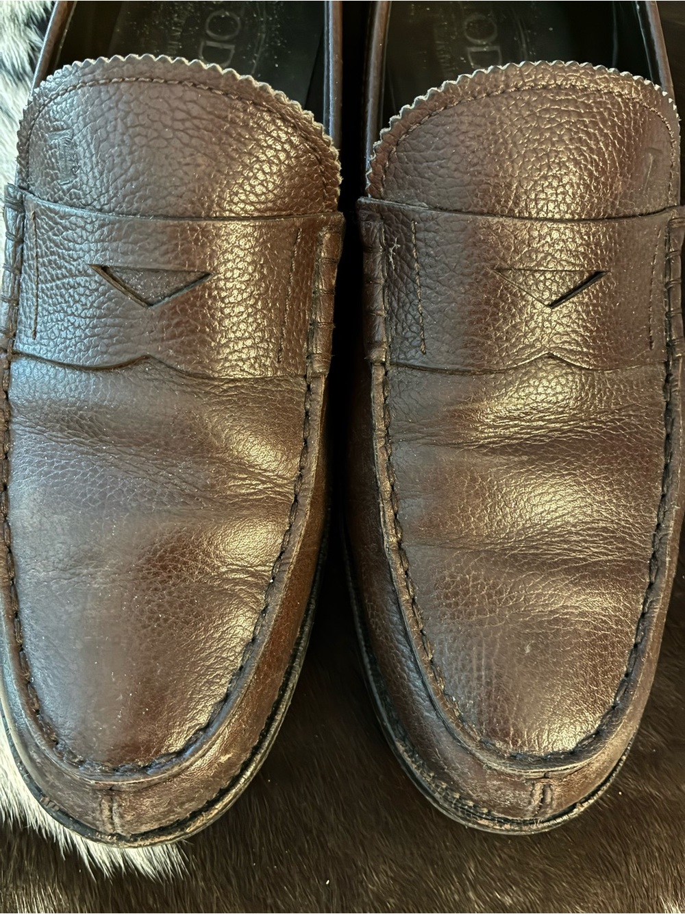 Men’s Tod’s loafers
